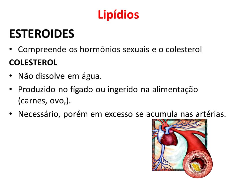 Lipídios ESTEROIDES Compreende os hormônios sexuais e o colesterol