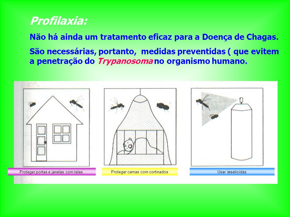 Profilaxia: Não há ainda um tratamento eficaz para a Doença de Chagas.