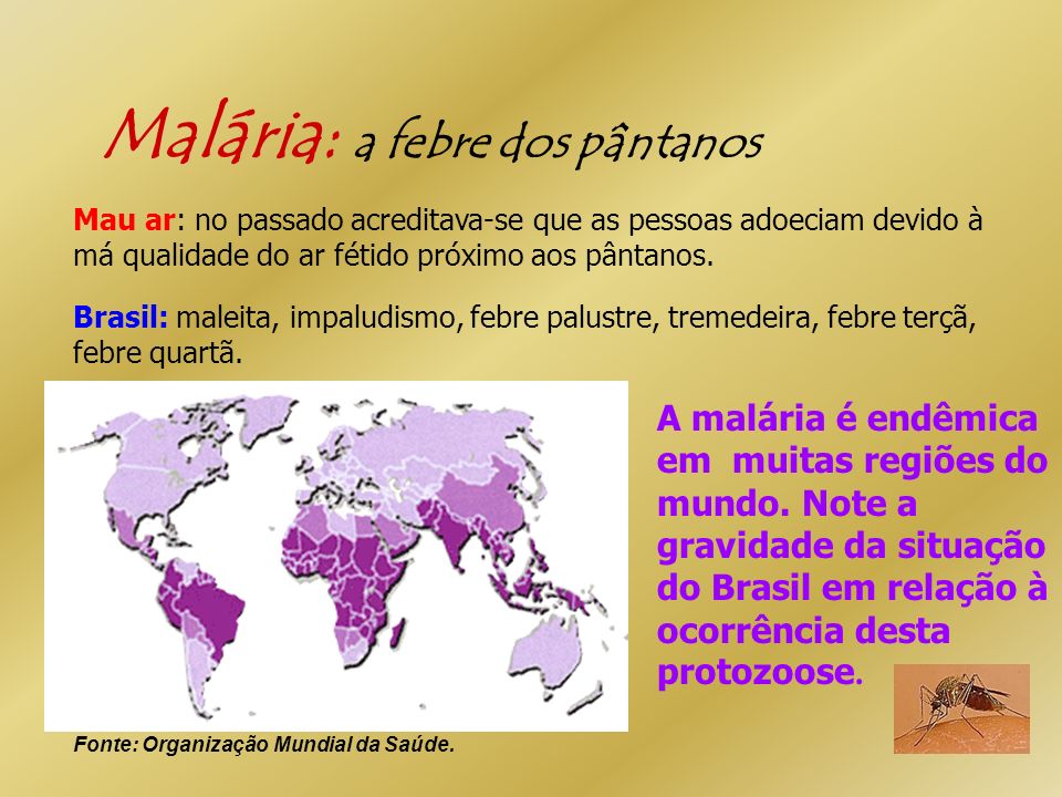 Malária: a febre dos pântanos