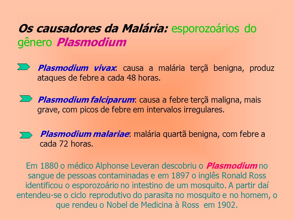 Os causadores da Malária: esporozoários do gênero Plasmodium