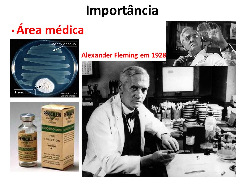 Importância Área médica Alexander Fleming em 1928