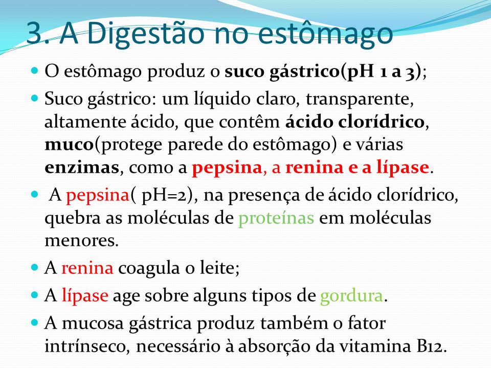 3. A Digestão no estômago O estômago produz o suco gástrico(pH 1 a 3);