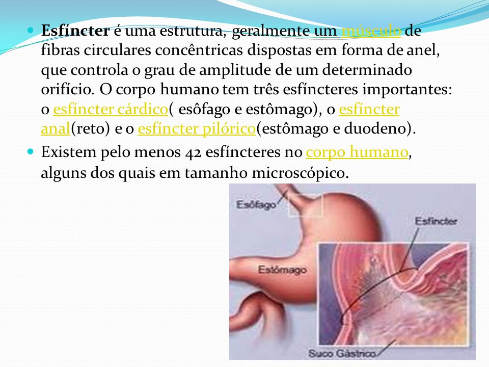 Esfíncter é uma estrutura, geralmente um músculo de fibras circulares concêntricas dispostas em forma de anel, que controla o grau de amplitude de um determinado orifício. O corpo humano tem três esfíncteres importantes: o esfíncter cárdico( esôfago e estômago), o esfíncter anal(reto) e o esfíncter pilórico(estômago e duodeno).