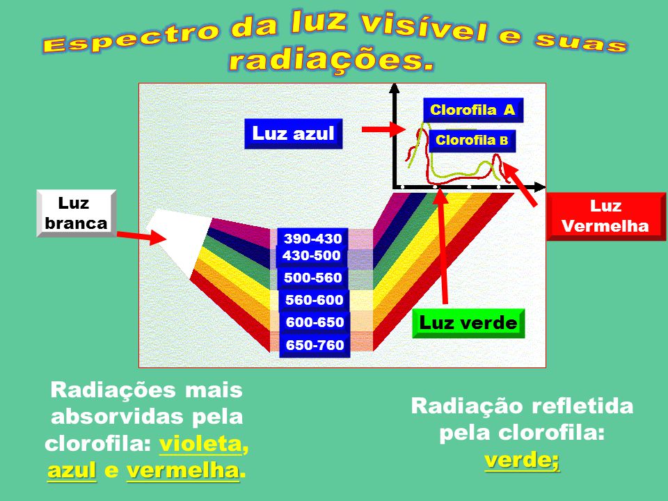 Características de transmissão de luz em dielétrico de anisotropia -  Exposição - PANASYS