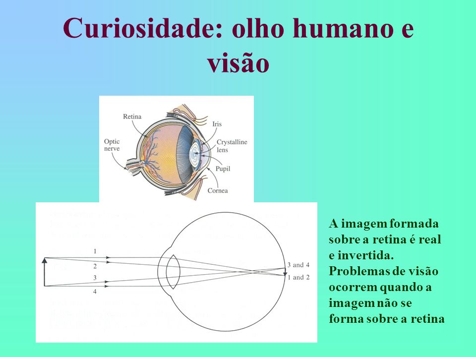 Curiosidade: olho humano e visão
