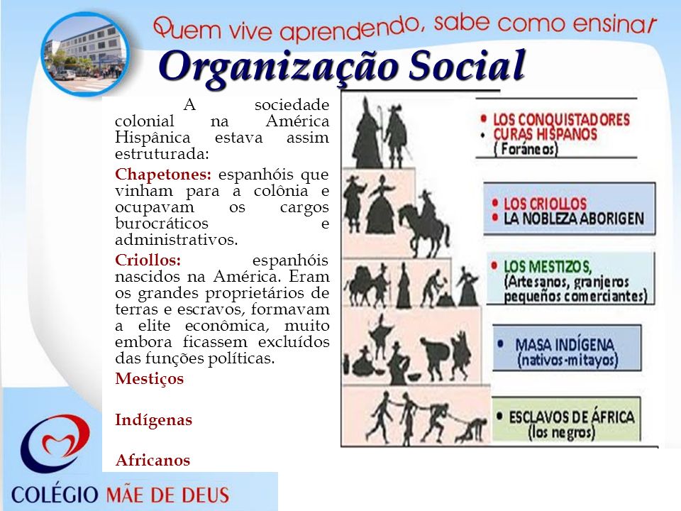 Organização Social A sociedade colonial na América Hispânica estava assim estruturada: