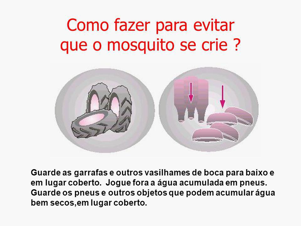 Como fazer para evitar que o mosquito se crie