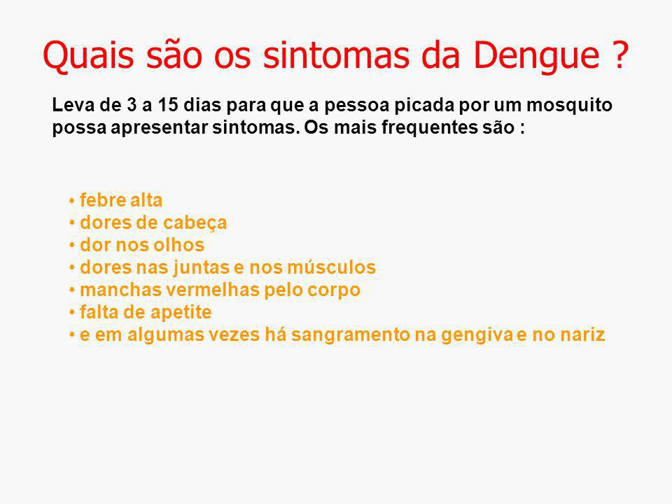 Quais são os sintomas da Dengue