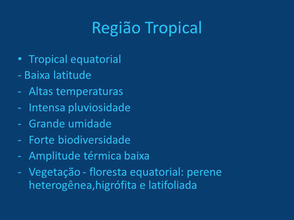 Região Tropical Tropical equatorial - Baixa latitude