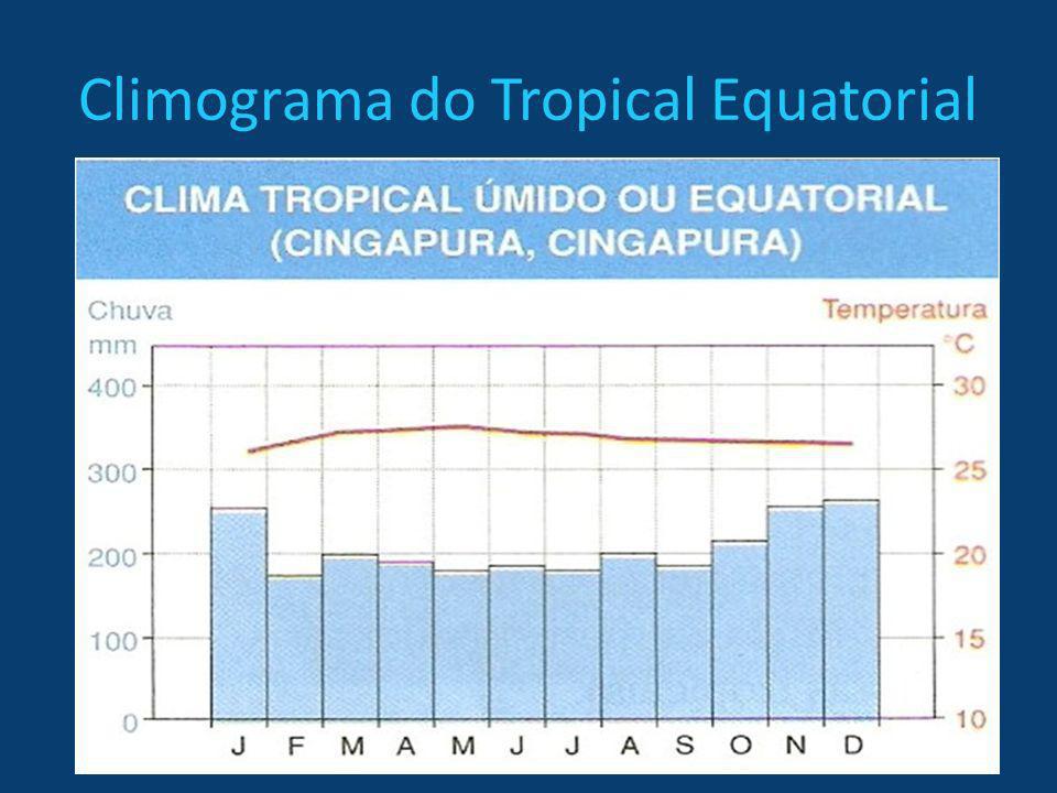 Climograma do Tropical Equatorial