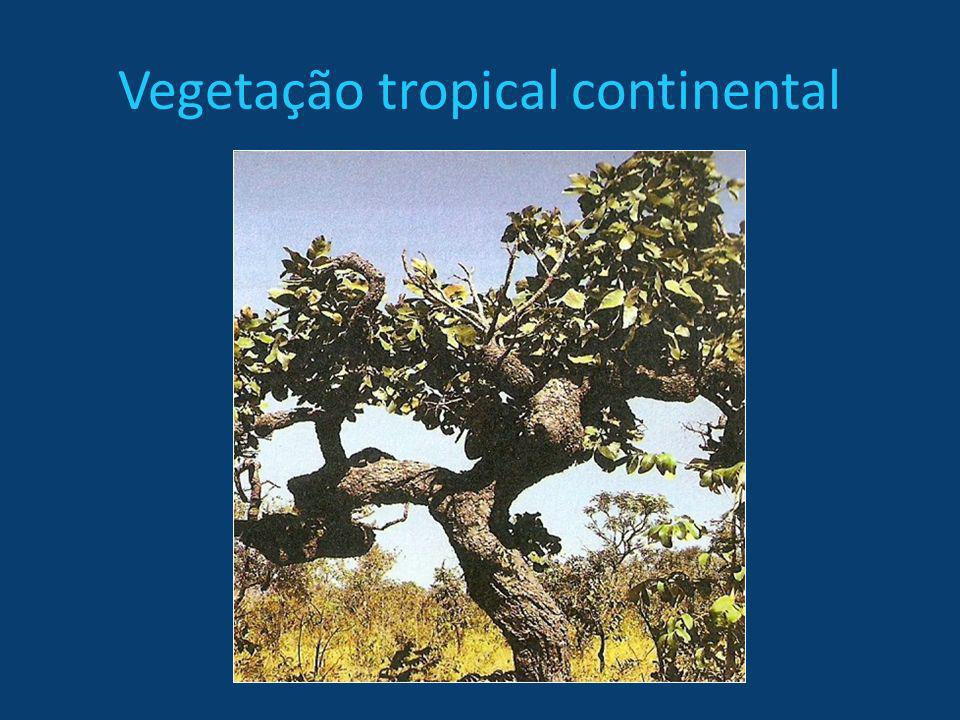 Vegetação tropical continental