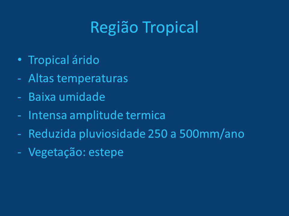 Região Tropical Tropical árido Altas temperaturas Baixa umidade