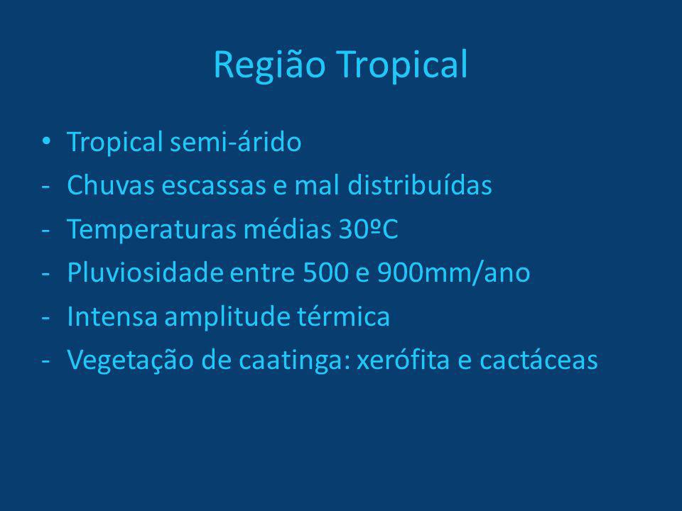 Região Tropical Tropical semi-árido Chuvas escassas e mal distribuídas