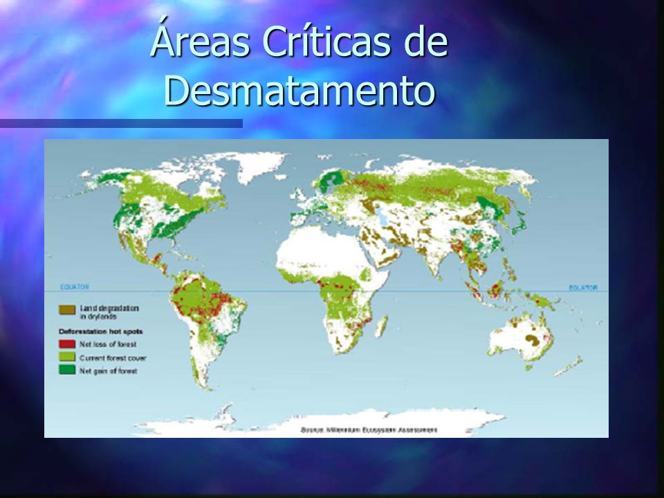Áreas Críticas de Desmatamento