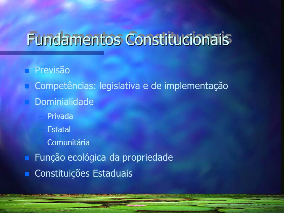 Fundamentos Constitucionais