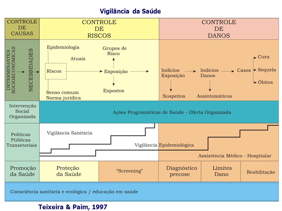 Vigilância da Saúde Teixeira & Paim, 1997