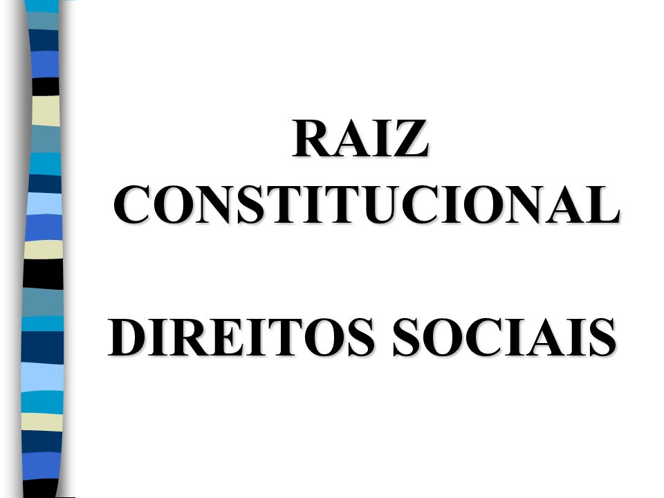 RAIZ CONSTITUCIONAL DIREITOS SOCIAIS