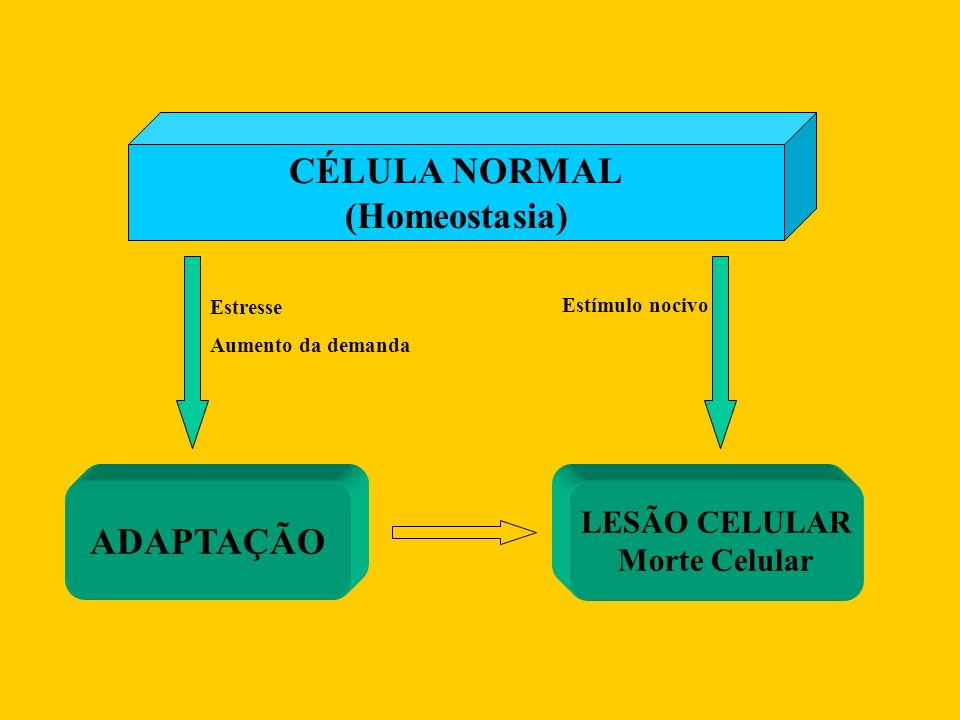 CÉLULA NORMAL (Homeostasia) ADAPTAÇÃO