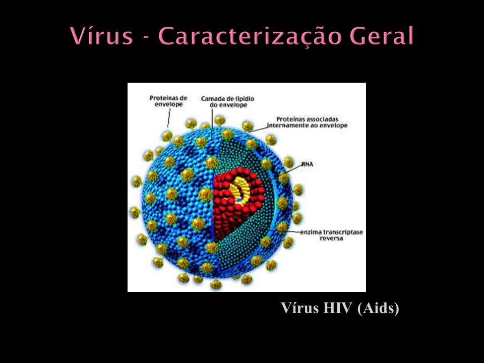 Vírus - Caracterização Geral