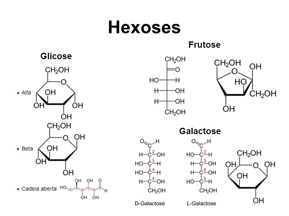 Hexoses Frutose Glicose Galactose