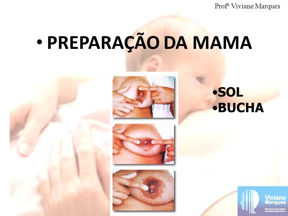 PREPARAÇÃO DA MAMA Profª Viviane Marques SOL BUCHA