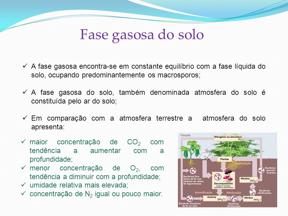 Fase gasosa do solo A fase gasosa encontra-se em constante equilíbrio com a fase líquida do solo, ocupando predominantemente os macrosporos;