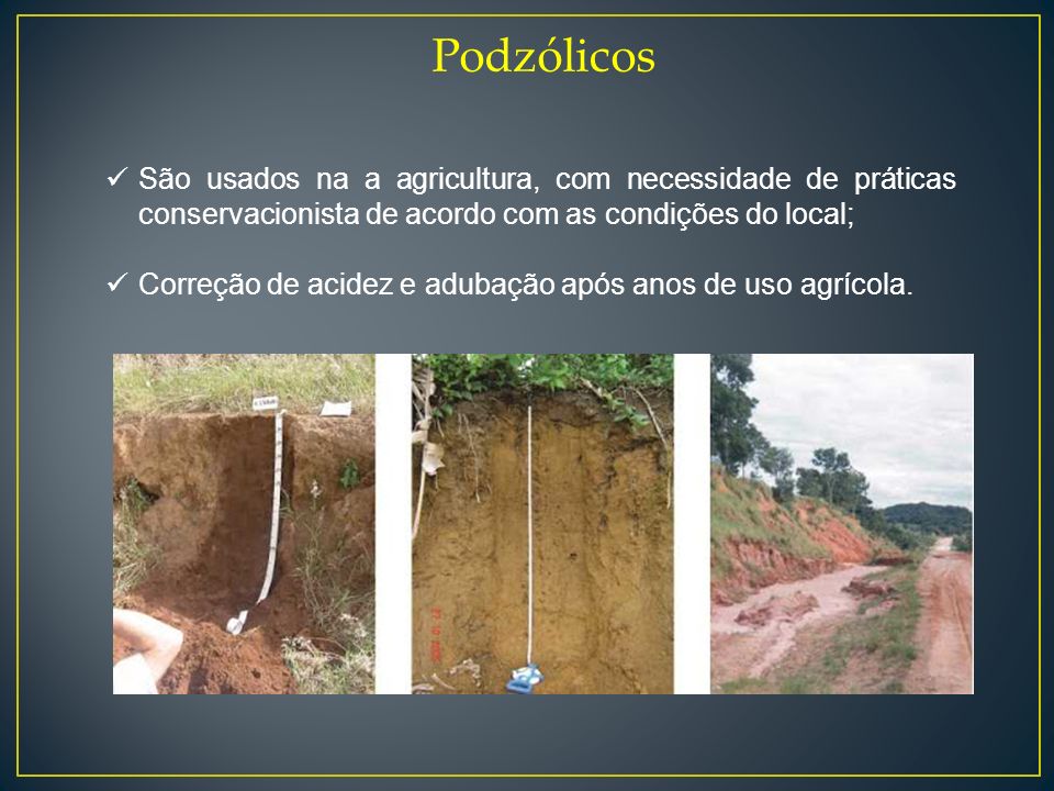 Podzólicos São usados na a agricultura, com necessidade de práticas conservacionista de acordo com as condições do local;