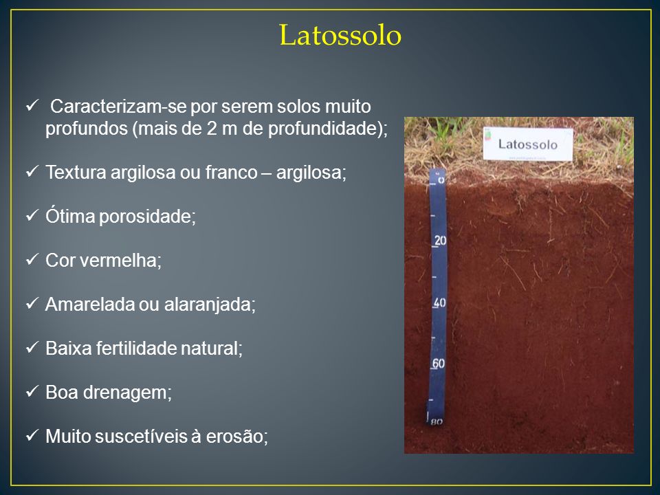 Latossolo Caracterizam-se por serem solos muito profundos (mais de 2 m de profundidade); Textura argilosa ou franco – argilosa;