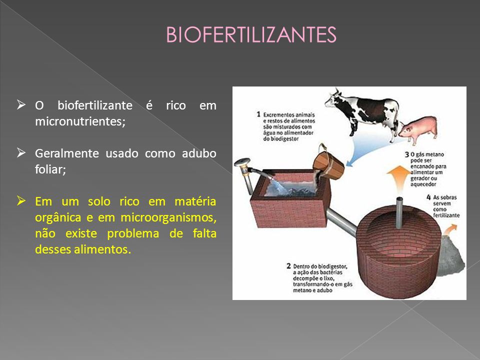 BIOFERTILIZANTES O biofertilizante é rico em micronutrientes;