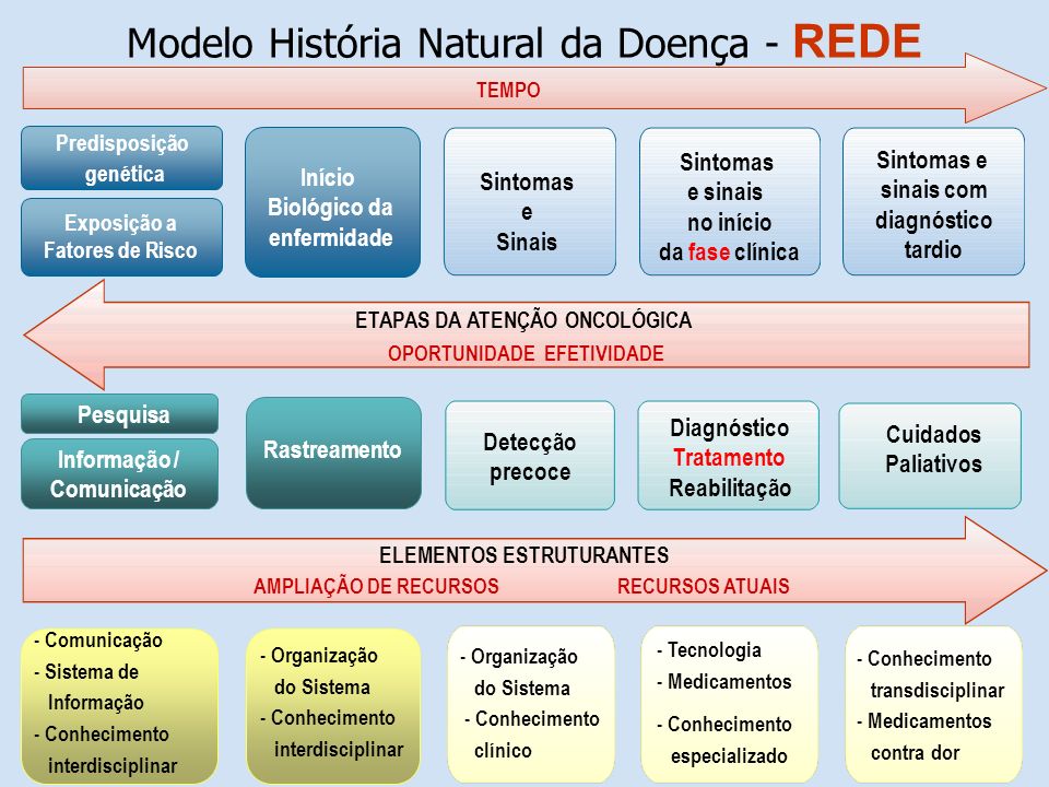 Modelo História Natural da Doença - REDE