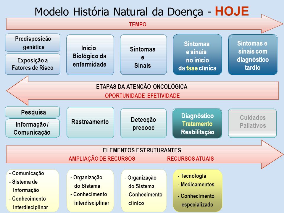 Modelo História Natural da Doença - HOJE