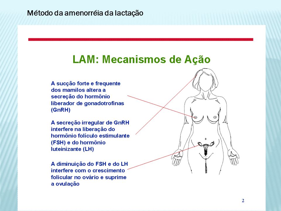 Método da amenorréia da lactação