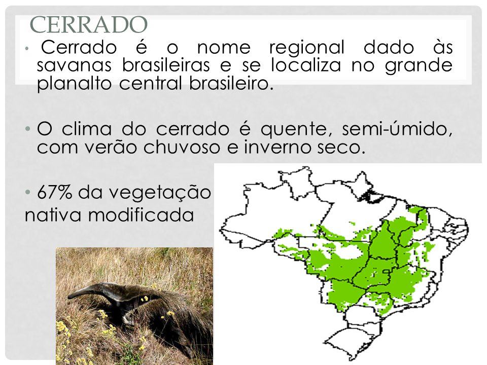 Cerrado Cerrado é o nome regional dado às savanas brasileiras e se localiza no grande planalto central brasileiro.