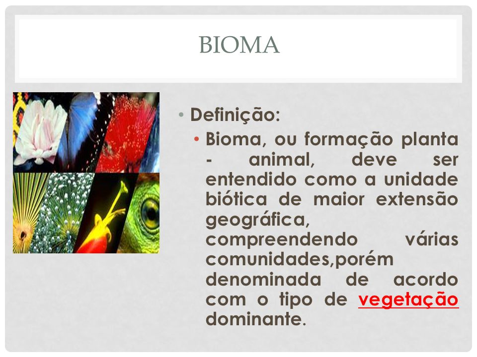 BIOMA Definição:
