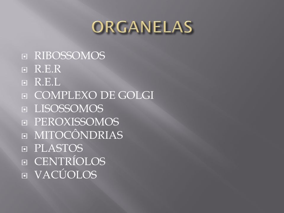 ORGANELAS RIBOSSOMOS R.E.R R.E.L COMPLEXO DE GOLGI LISOSSOMOS
