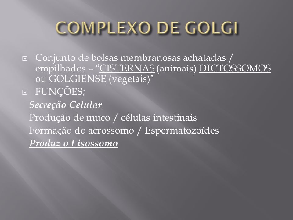 COMPLEXO DE GOLGI Conjunto de bolsas membranosas achatadas / empilhados – CISTERNAS (animais) DICTOSSOMOS ou GOLGIENSE (vegetais)