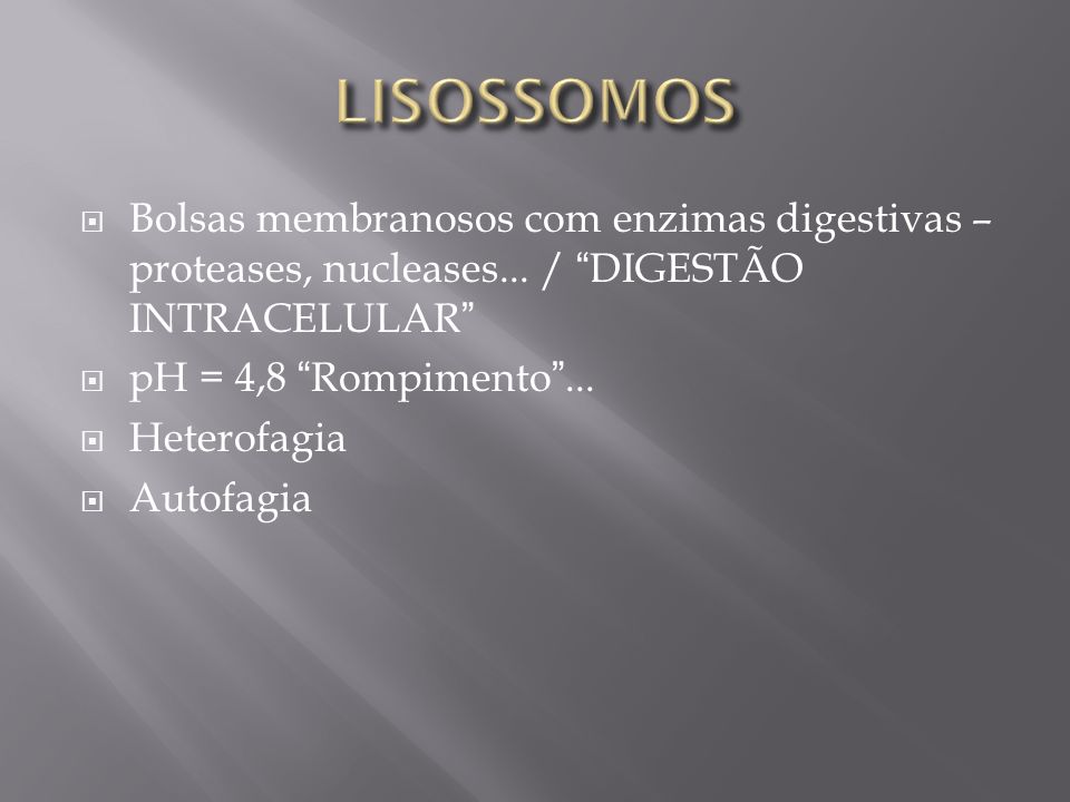 LISOSSOMOS Bolsas membranosos com enzimas digestivas – proteases, nucleases... / DIGESTÃO INTRACELULAR