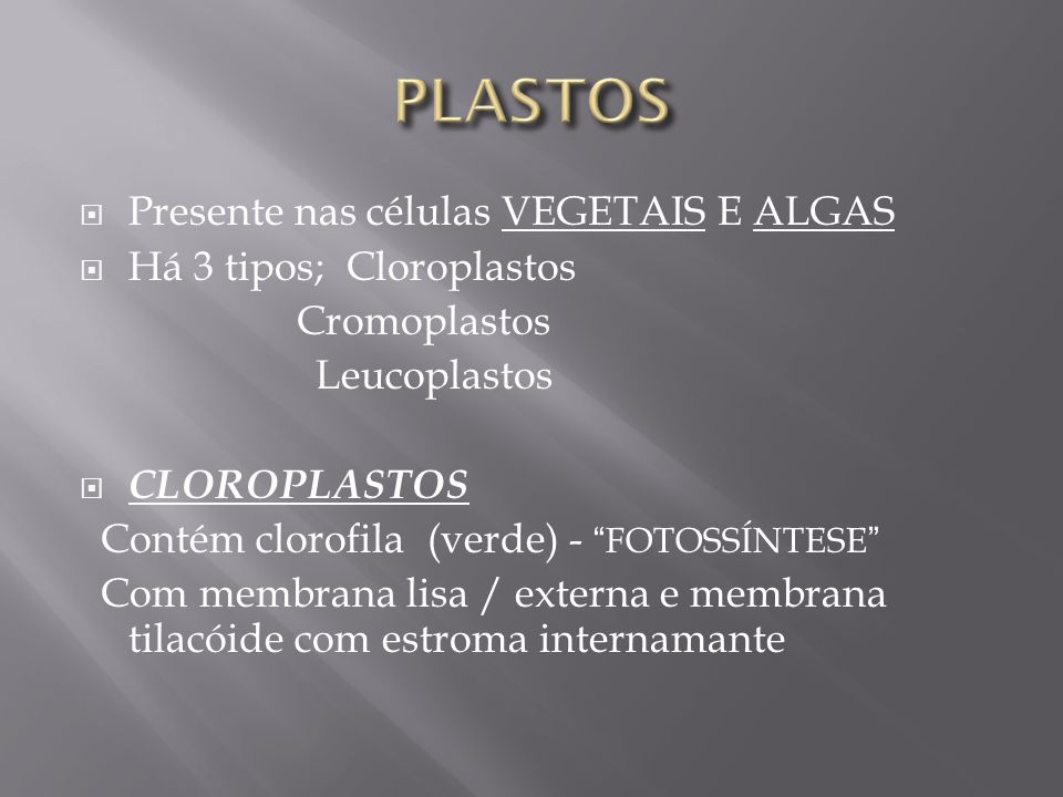 PLASTOS Presente nas células VEGETAIS E ALGAS Há 3 tipos; Cloroplastos