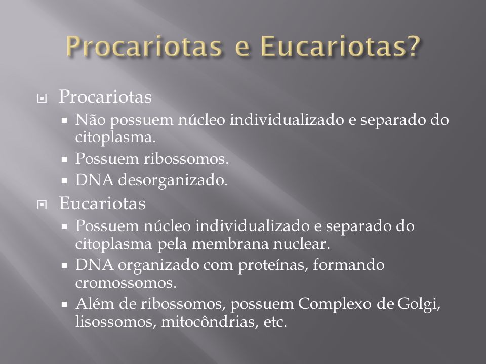 Procariotas e Eucariotas