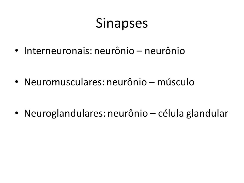 Sinapses Interneuronais: neurônio – neurônio