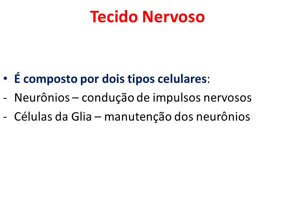 Tecido Nervoso É composto por dois tipos celulares: