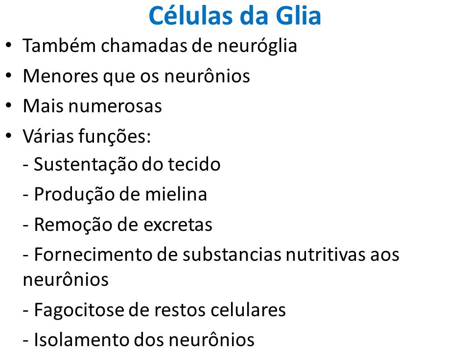 Células da Glia Também chamadas de neuróglia Menores que os neurônios