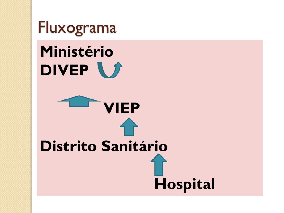 Fluxograma Ministério DIVEP VIEP Distrito Sanitário Hospital