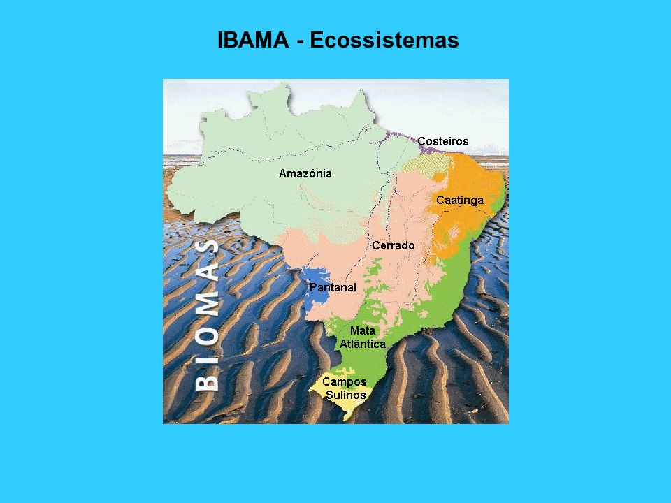 IBAMA - Ecossistemas