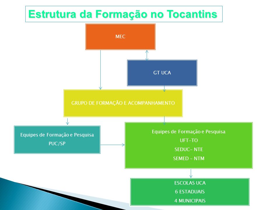 Estrutura da Formação no Tocantins