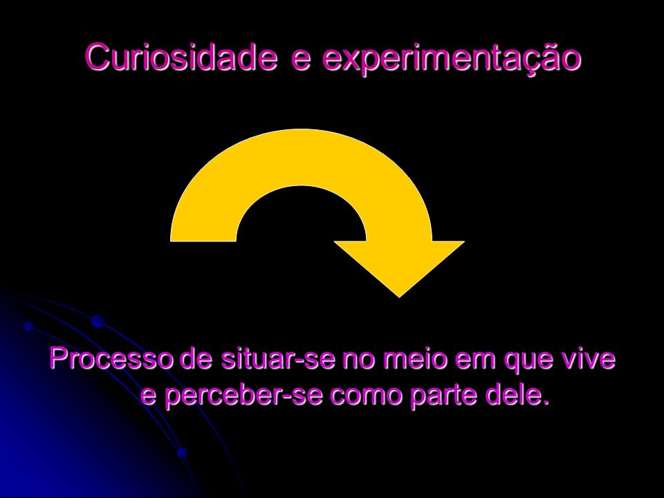 Curiosidade e experimentação