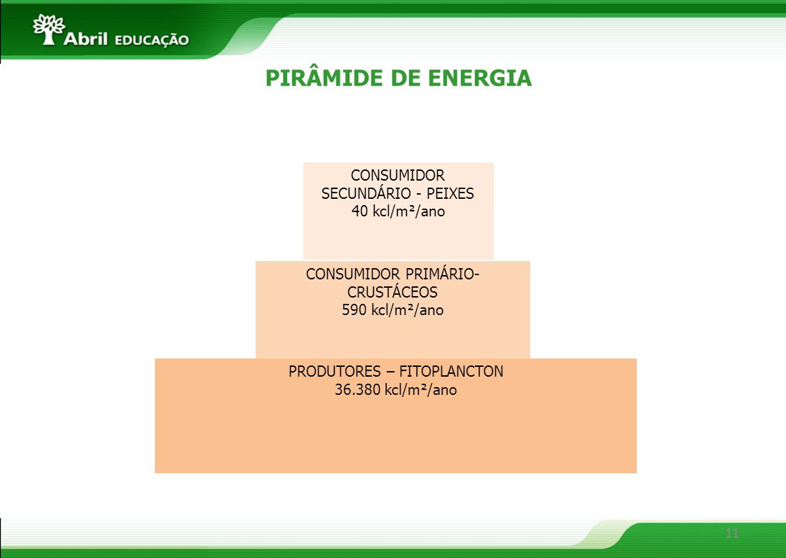 PIRÂMIDE DE ENERGIA CONSUMIDOR SECUNDÁRIO - PEIXES 40 kcl/m²/ano