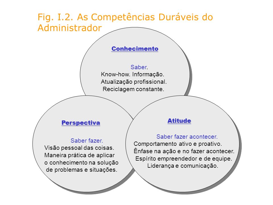 Fig. I.2. As Competências Duráveis do Administrador