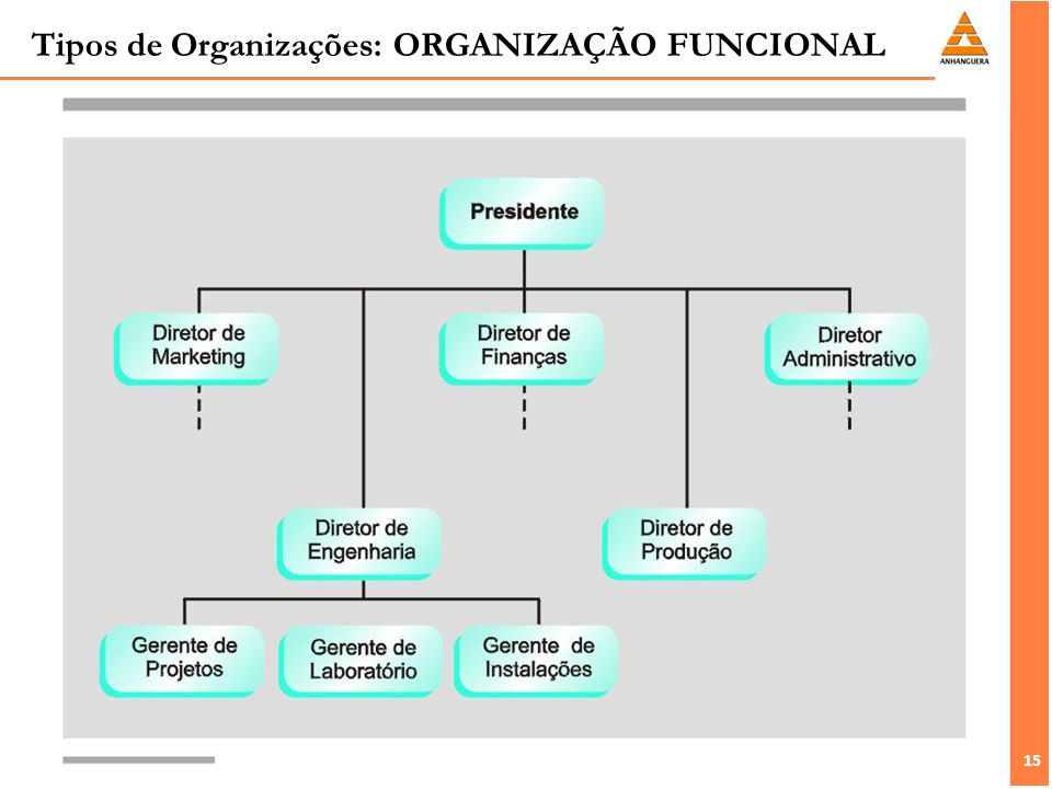Tipos de Organizações: ORGANIZAÇÃO FUNCIONAL