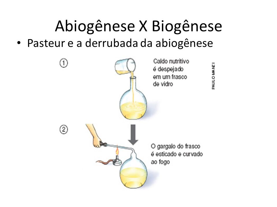 Abiogênese X Biogênese